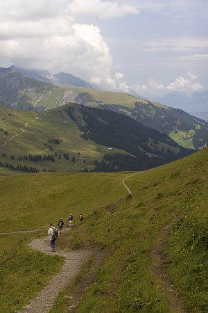 DIG-Adelboden 0032005.jpg